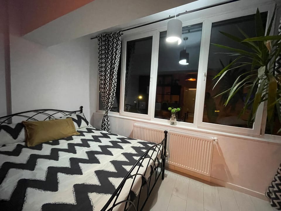Garsonieră Ultracentrală Petroșani Valea Jiului Apartment in Romania