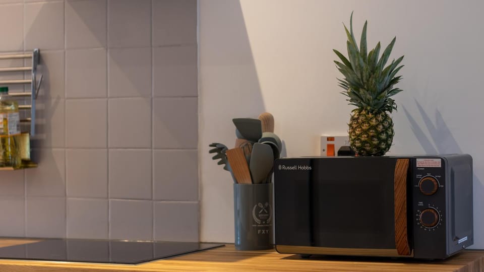 Kitchen or kitchenette, minibar, pet friendly, stove