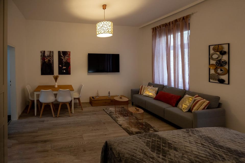 Bed, TV and multimedia, Living room, Photo of the whole room, Seating area, Bedroom