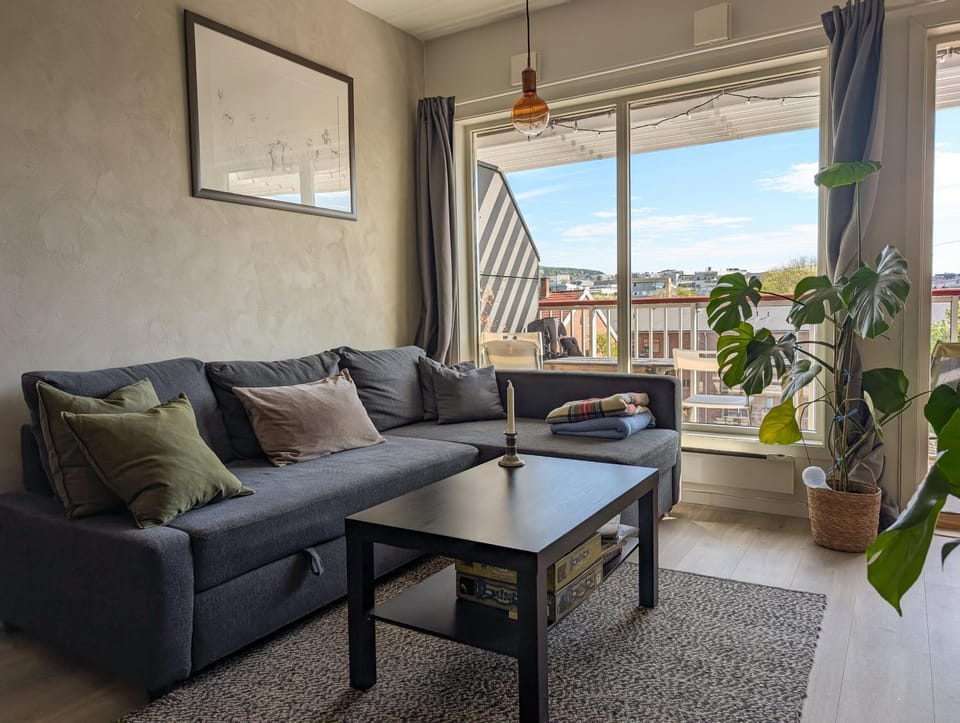 Spacious and cozy studio apartment with balcony Apartment in Oslo