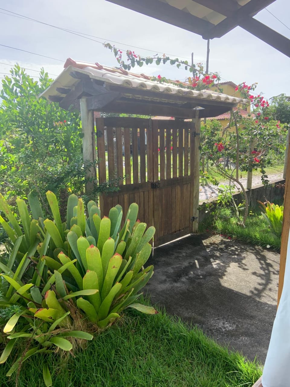 Garden, Garden, Garden view