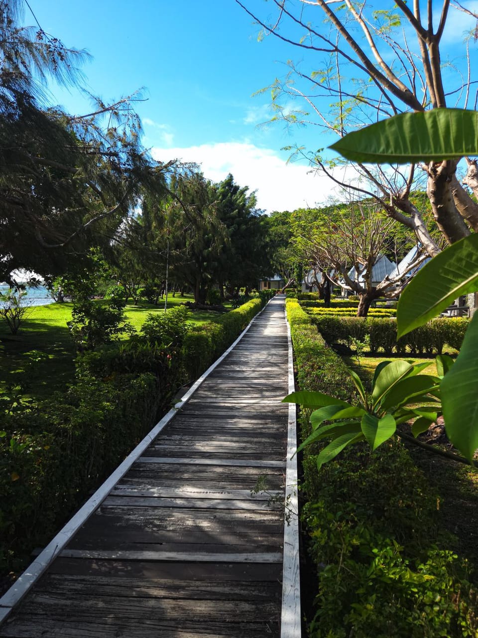 Coralview Island Resort Hotel in Western Division, Fiji