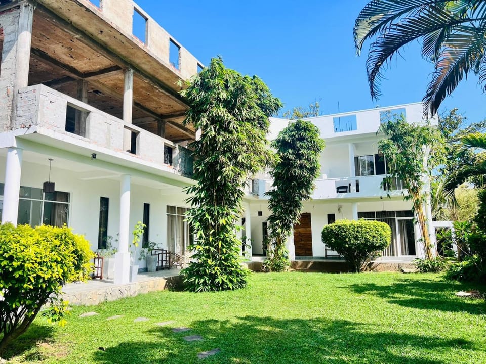 Property building, Garden, Garden view