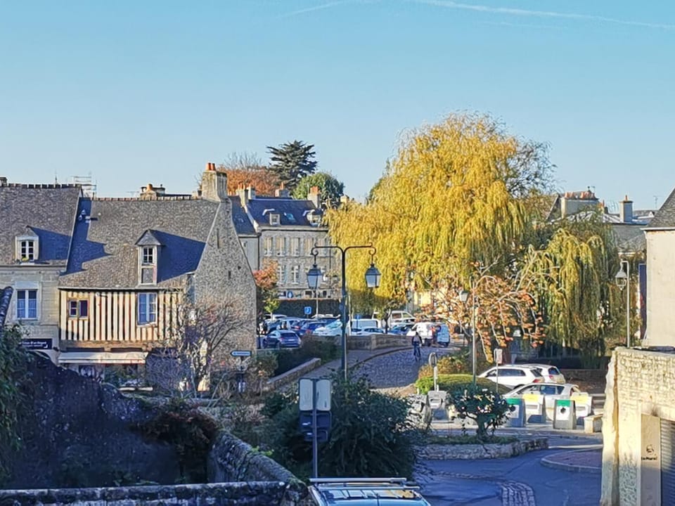 View (from property/room)