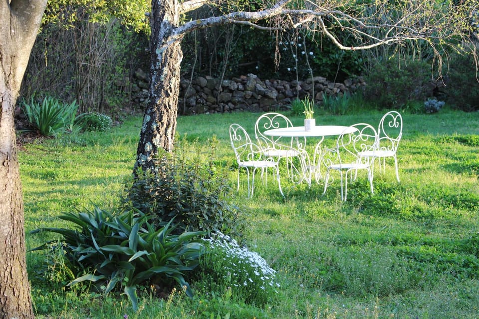 Garden, Dining area