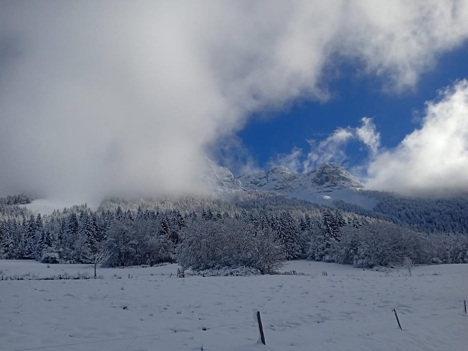 In the heart of nature with an unique view Apartment in Talloires
