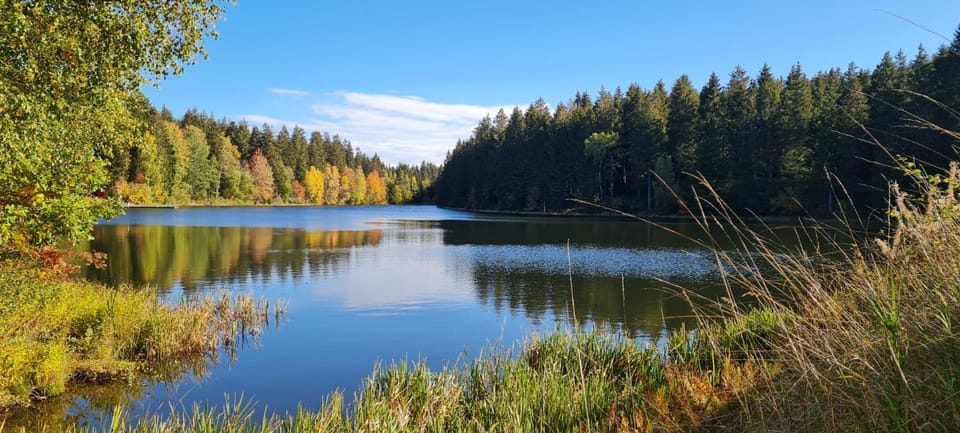 Harz mit Herz, Infrarotsauna, E-Kamin, Herzdusche Apartment in Goslar