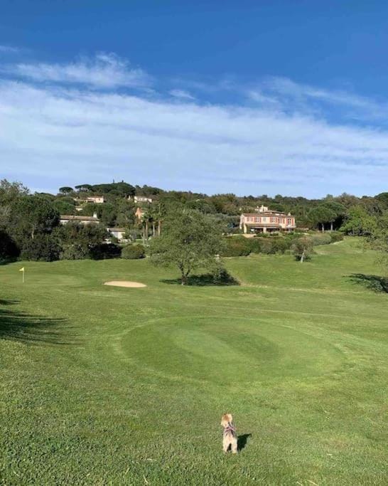 Natural landscape, Golfcourse