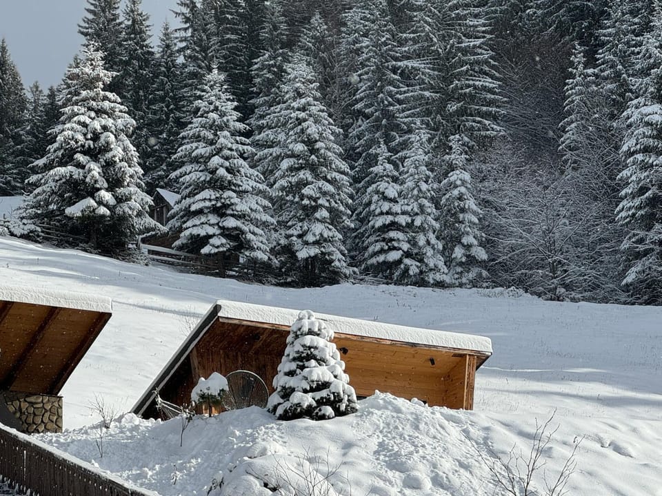 Moșia Sofiei Chalet in Brașov County
