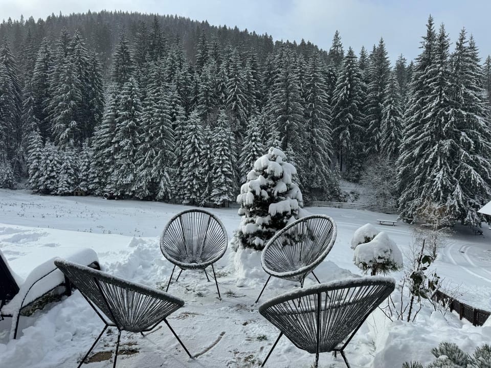 Moșia Sofiei Chalet in Brașov County