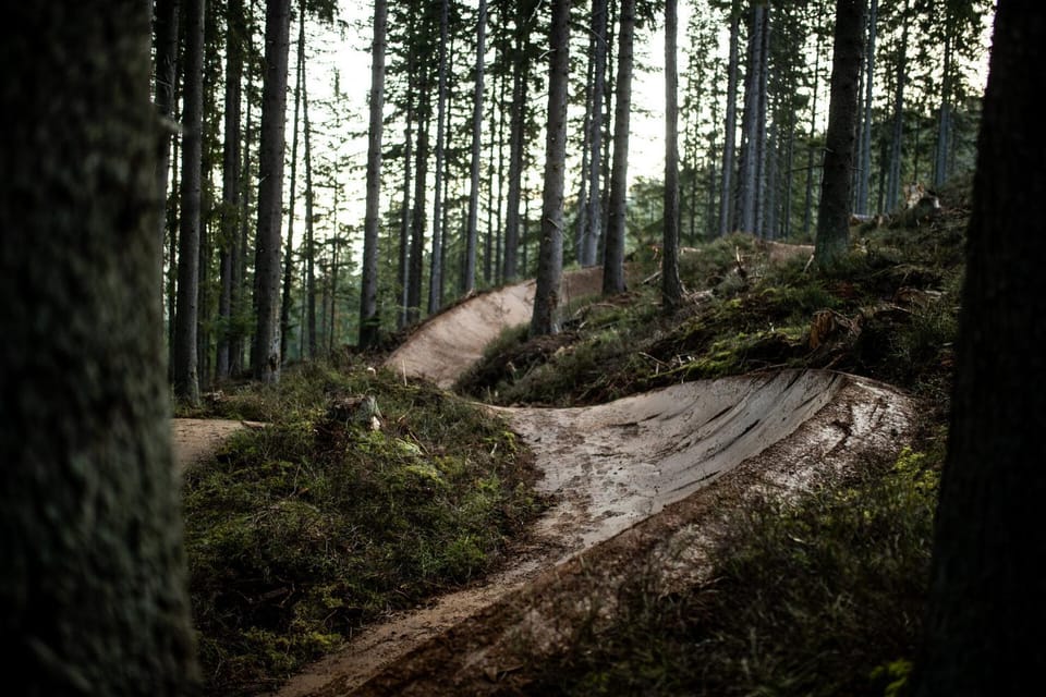 Activities