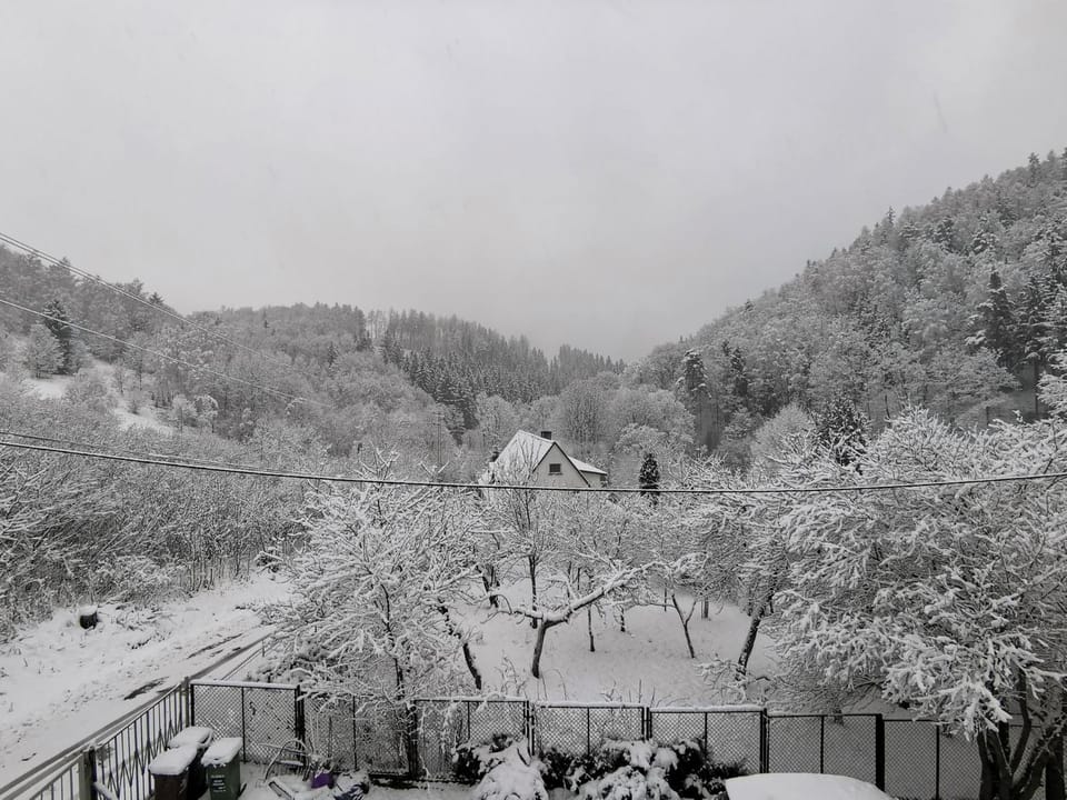 Natural landscape, Winter, View (from property/room), Mountain view