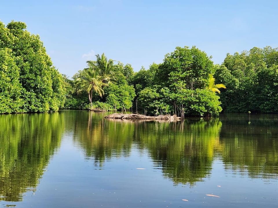 River experience unawatuna Apartment in Southern Province