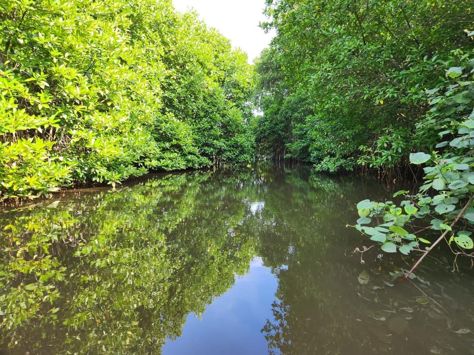 River experience unawatuna Apartment in Southern Province
