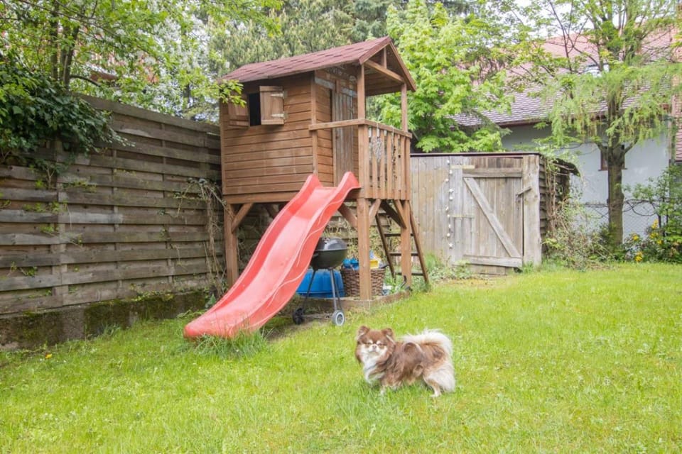 Children play ground, Garden, Animals