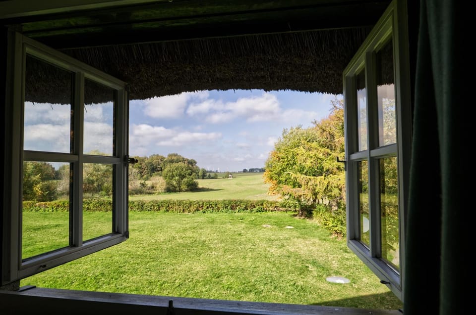 Natural landscape, Garden, View (from property/room), Garden view
