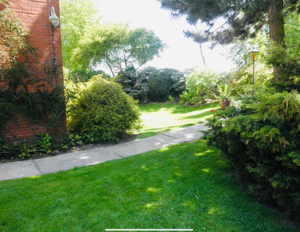 Property building, Day, Garden, Garden