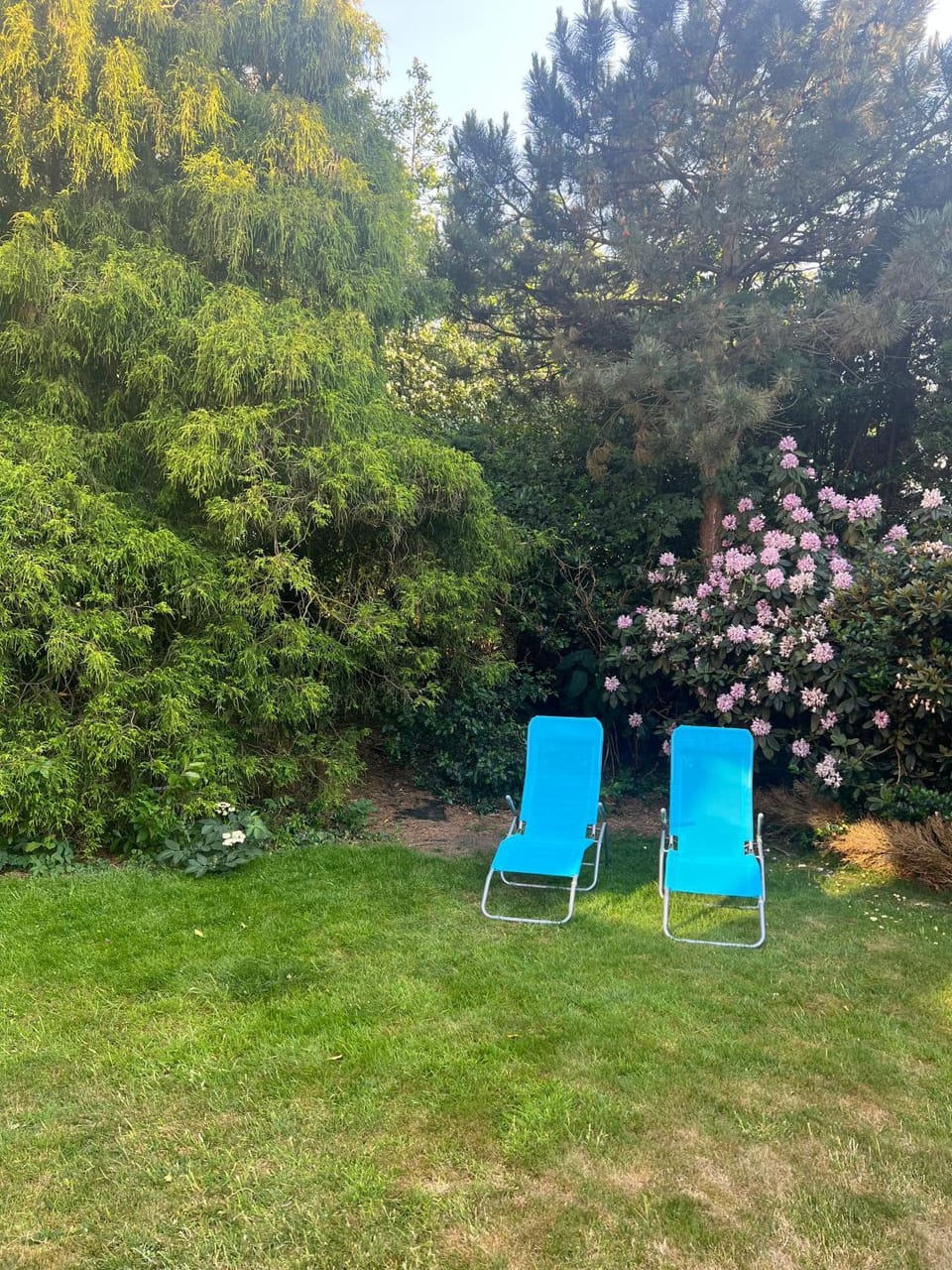 Garden, sunbed