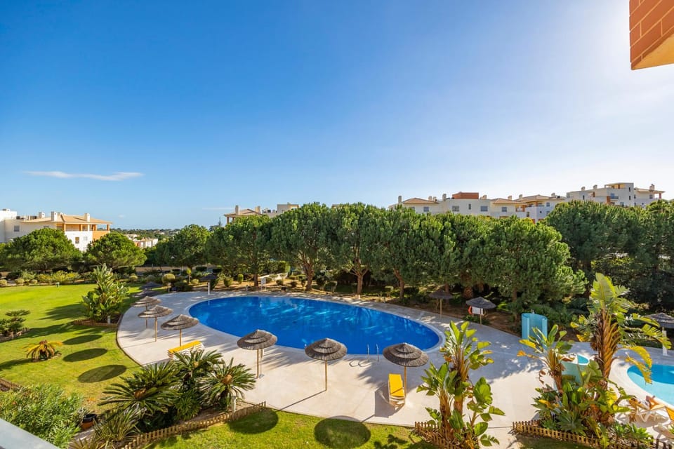 Natural landscape, Garden, Garden, Garden view, Pool view, Swimming pool, Swimming pool