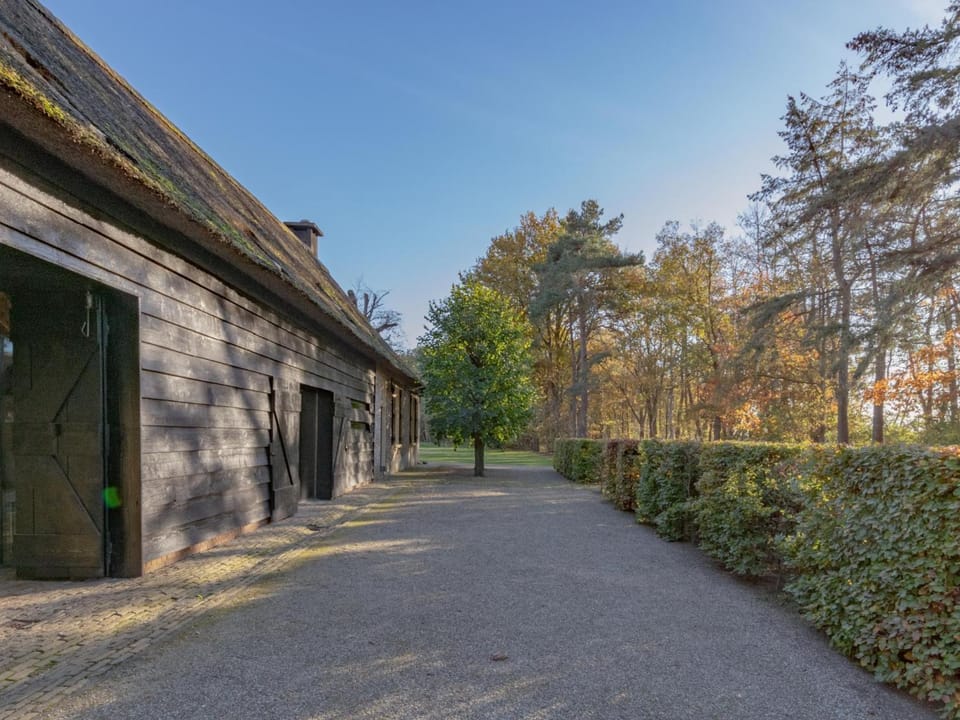 Property building, Summer
