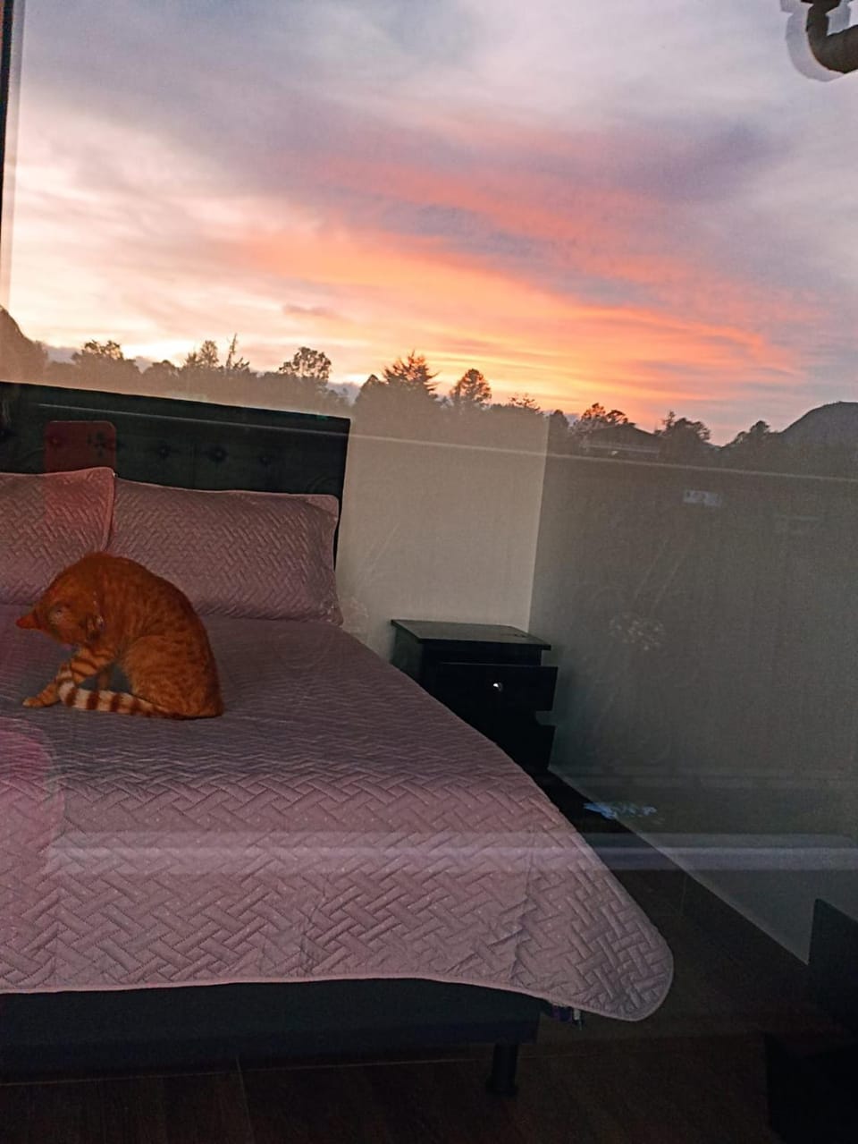 Photo of the whole room, Sunrise
