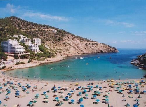 Beach, Area and facilities