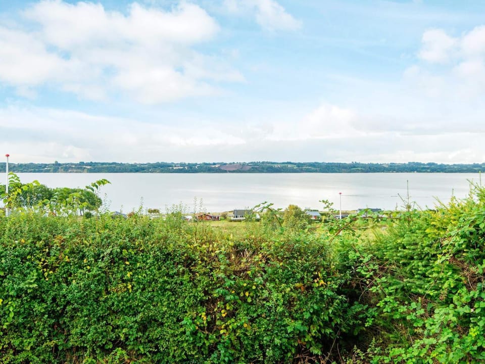 Lake view