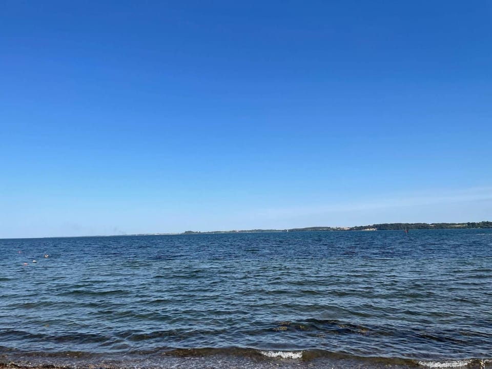 Lake view