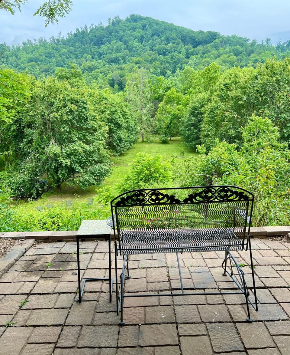 Serenity Views Retreat - Close to City and Parkway! House in Buncombe County