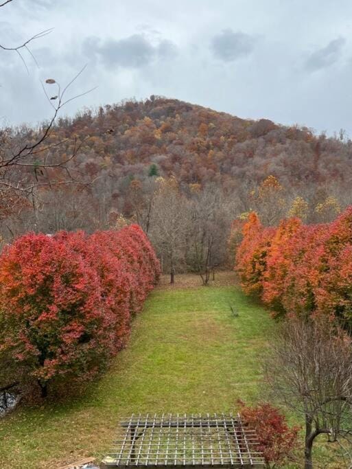 Serenity Views Retreat - Close to City and Parkway! House in Buncombe County