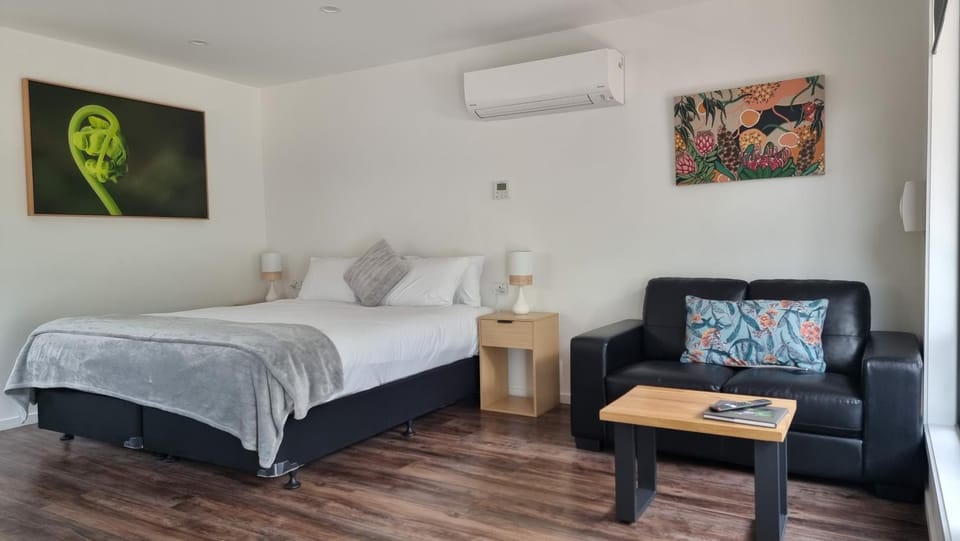 Bed, Living room, Photo of the whole room, Seating area, Bedroom, air conditioner