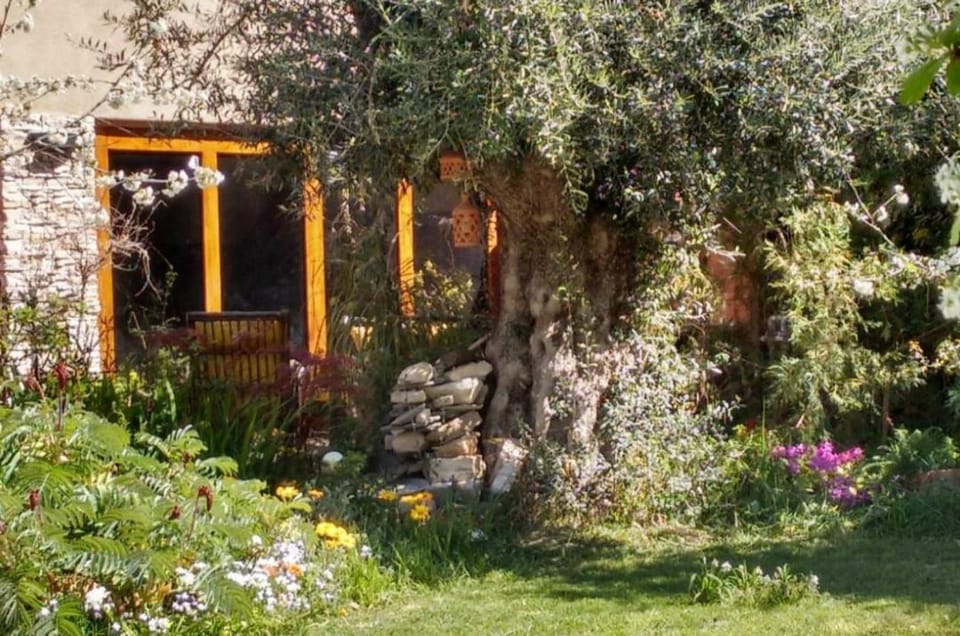 Spring, Garden