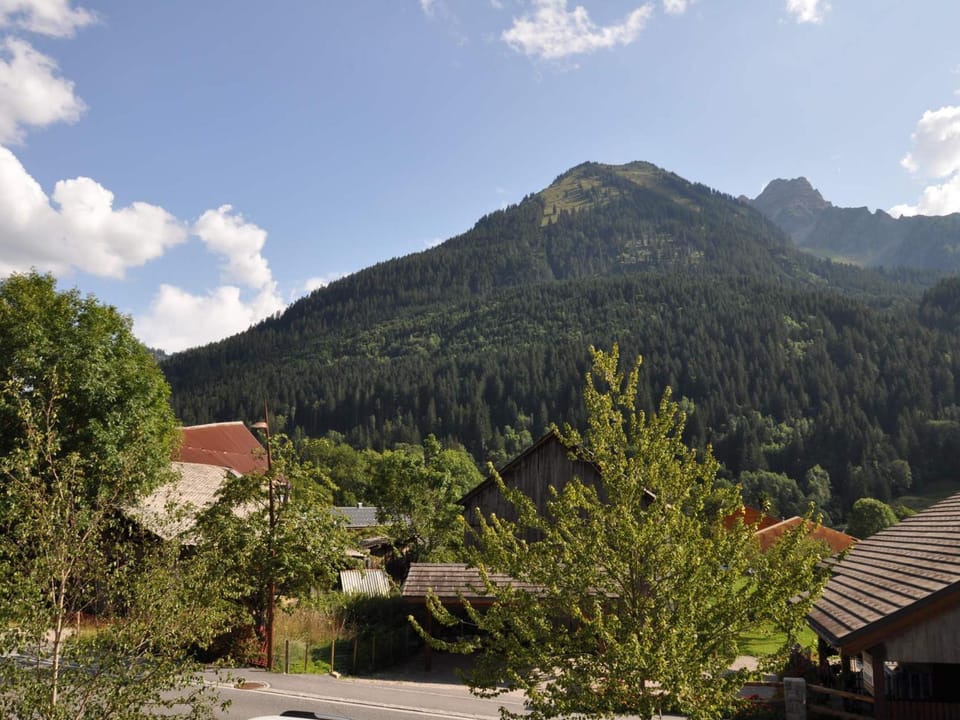 Spacieux 3 pièces au centre avec balcon, parking, animaux admis! - FR-1-692-9 Apartment in Haute-Savoie