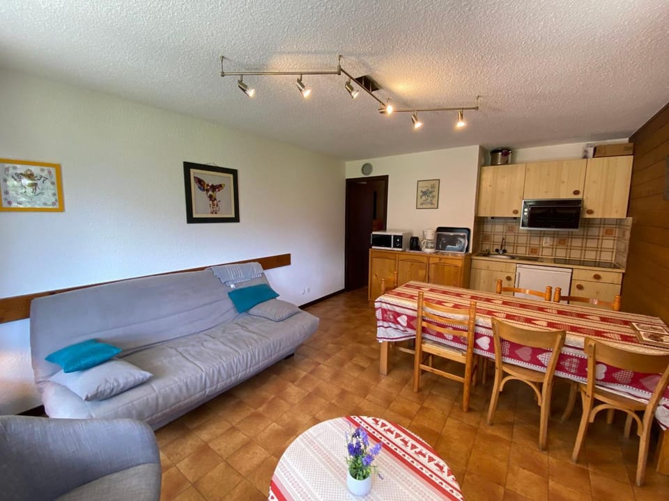 Charmant appartement au centre village, parking et animaux admis - FR-1-692-23 Apartment in Haute-Savoie