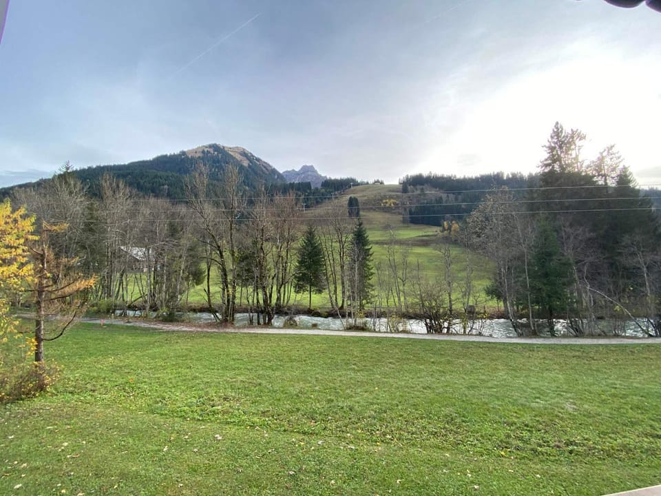 Studio cosy proche des pistes avec animaux admis - FR-1-692-64 Apartment in Haute-Savoie