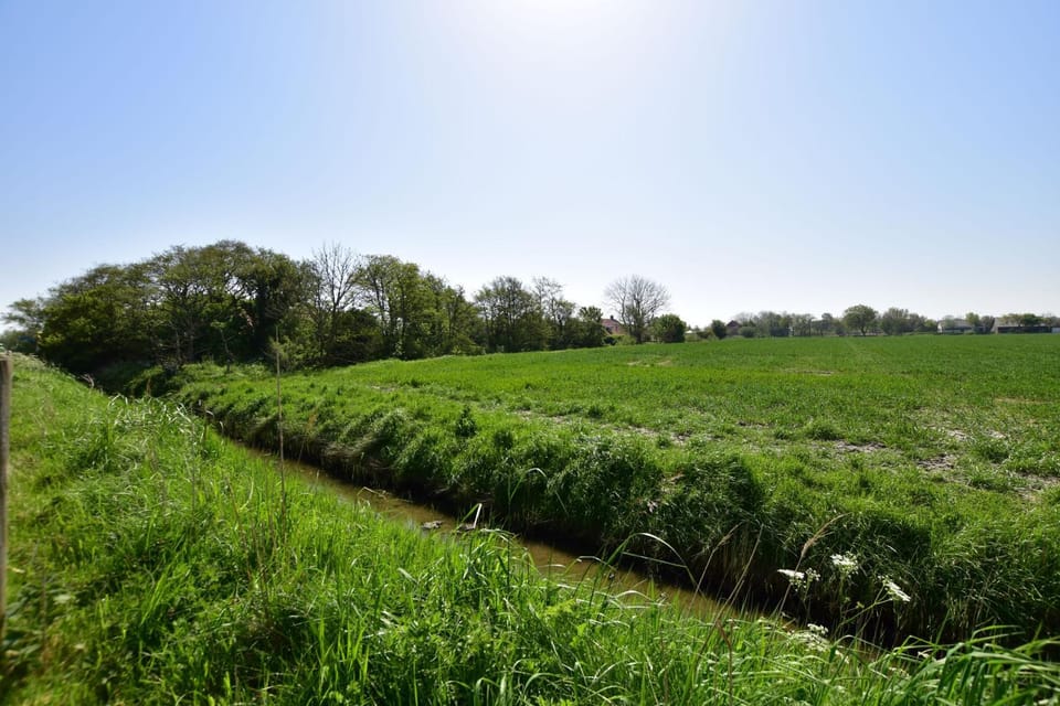 Natural landscape