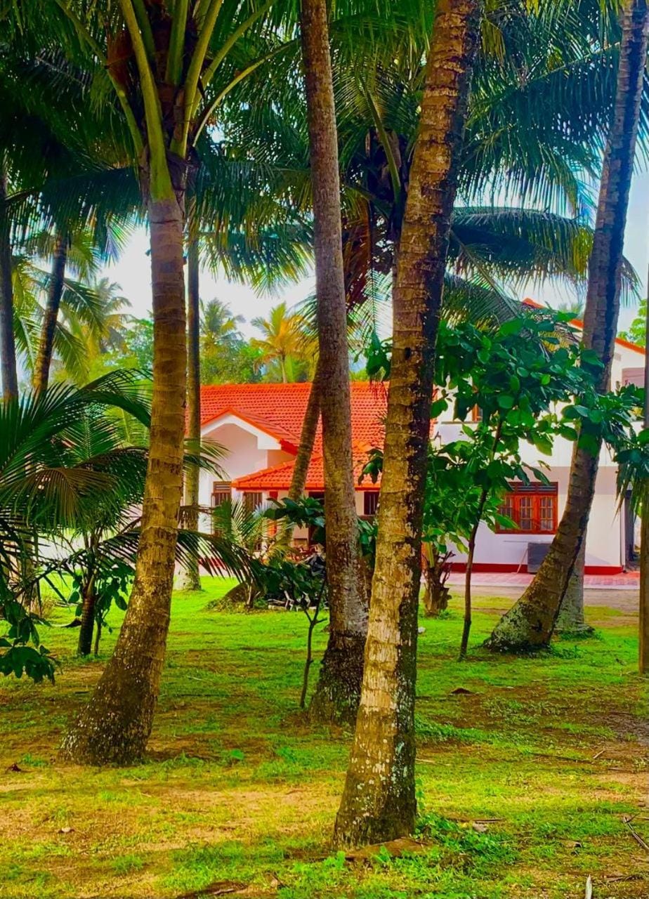 Natural landscape, Garden, Garden view