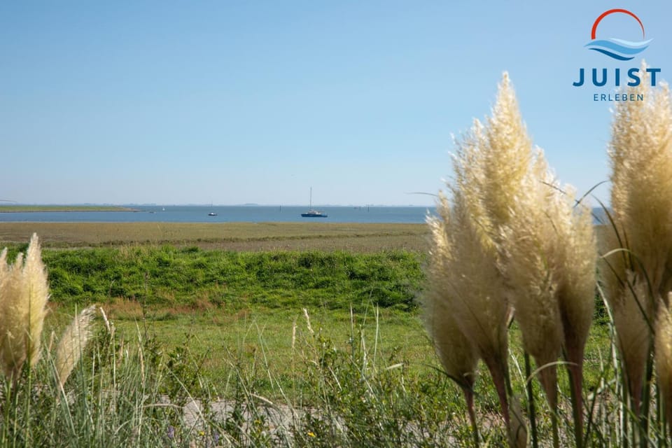 Natural landscape