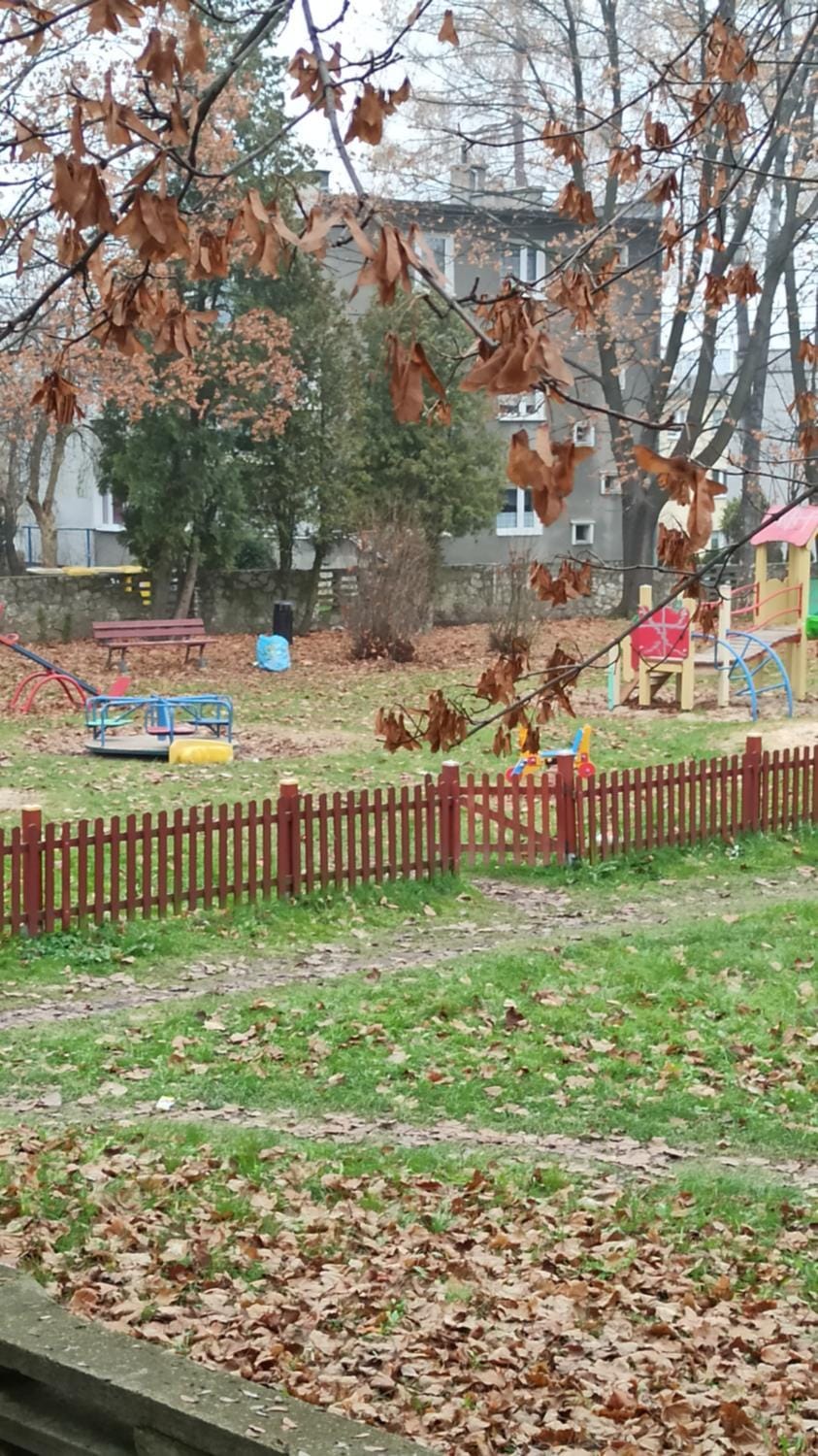 Children play ground