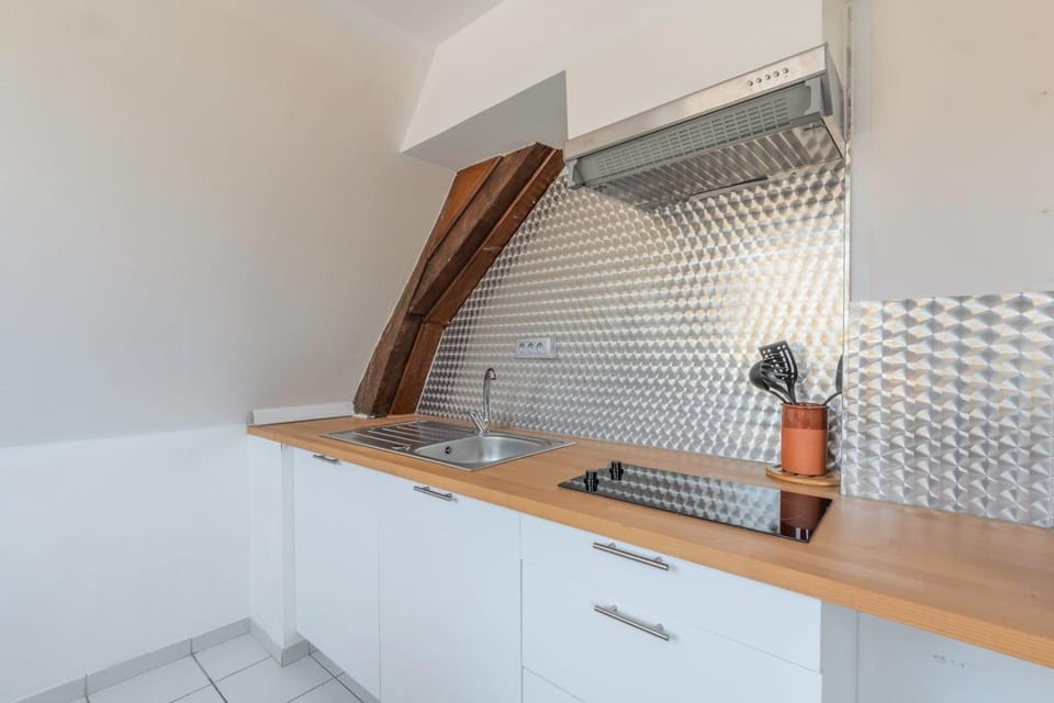 Duplex next to Grand Place Apartment in Lille