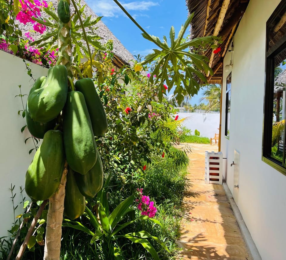 Day, Garden view