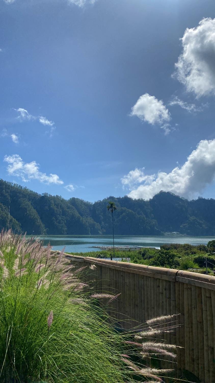 Lake view