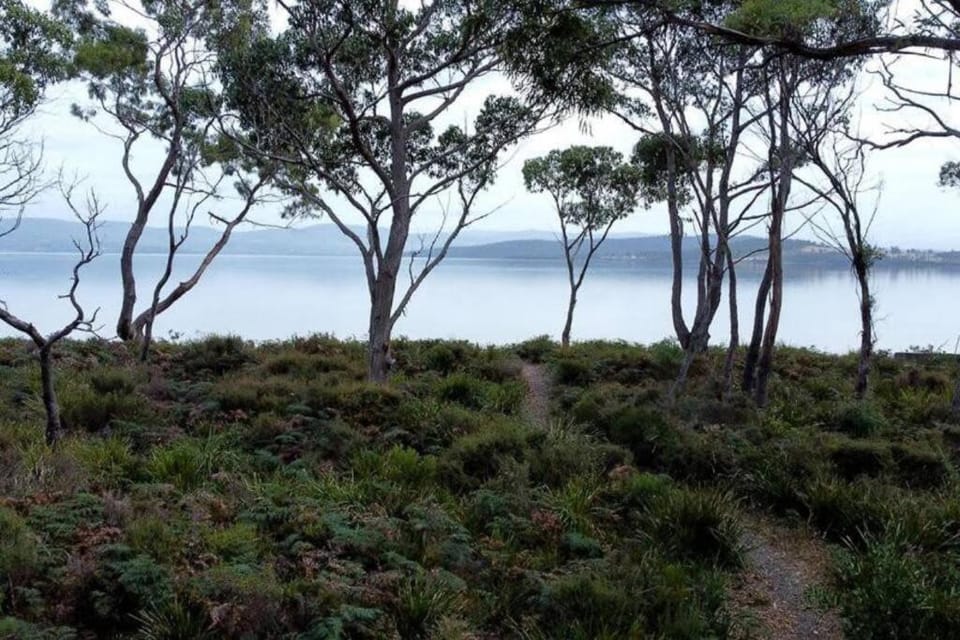 Periwinkle at Great Bay Chalet in Tasmania
