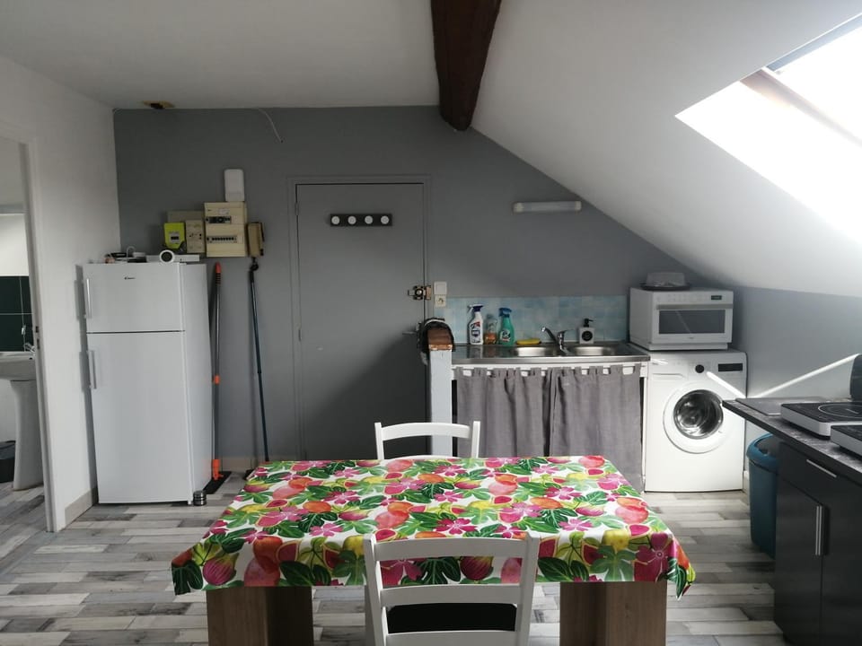 Kitchen or kitchenette, Dining area, oven, stove, washing machine