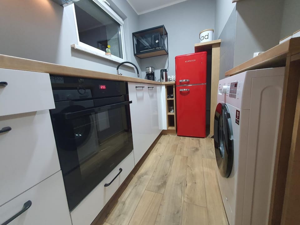 Kitchen or kitchenette, dishwasher, minibar, pet friendly, stove