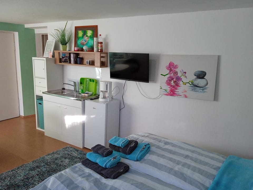 Bed, TV and multimedia, Kitchen or kitchenette, Photo of the whole room