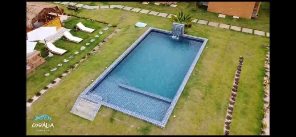 Garden, Pool view, Swimming pool, sunbed