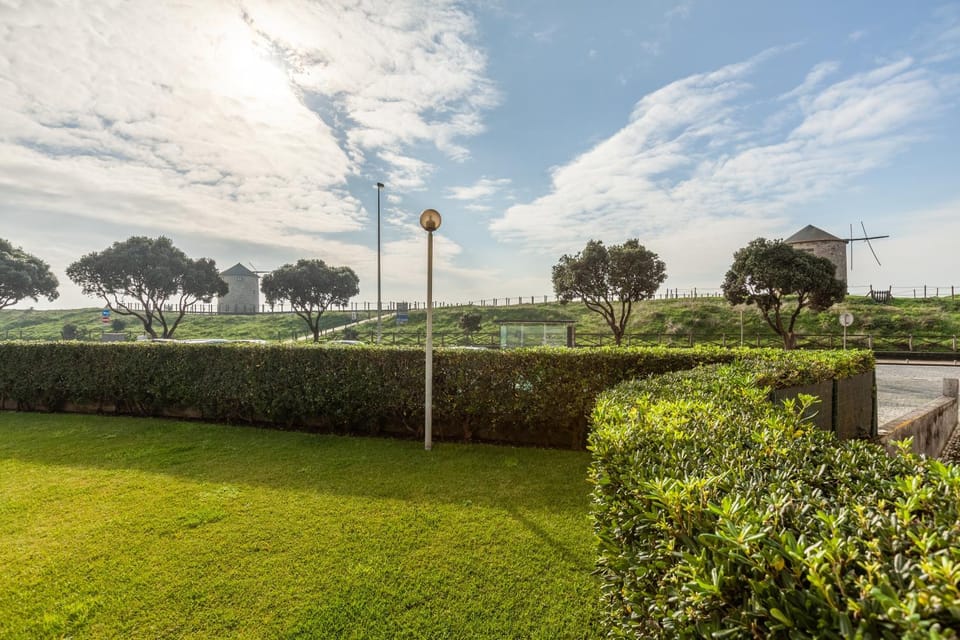 Natural landscape, Garden, Garden, Garden view