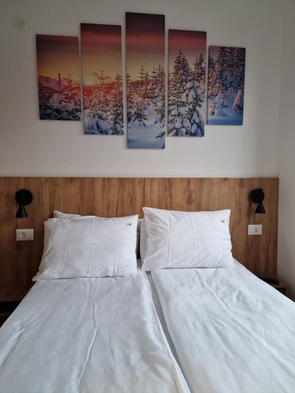 Hedonist Zlatibor Mountain Wellness & SPA Apartment in Zlatibor