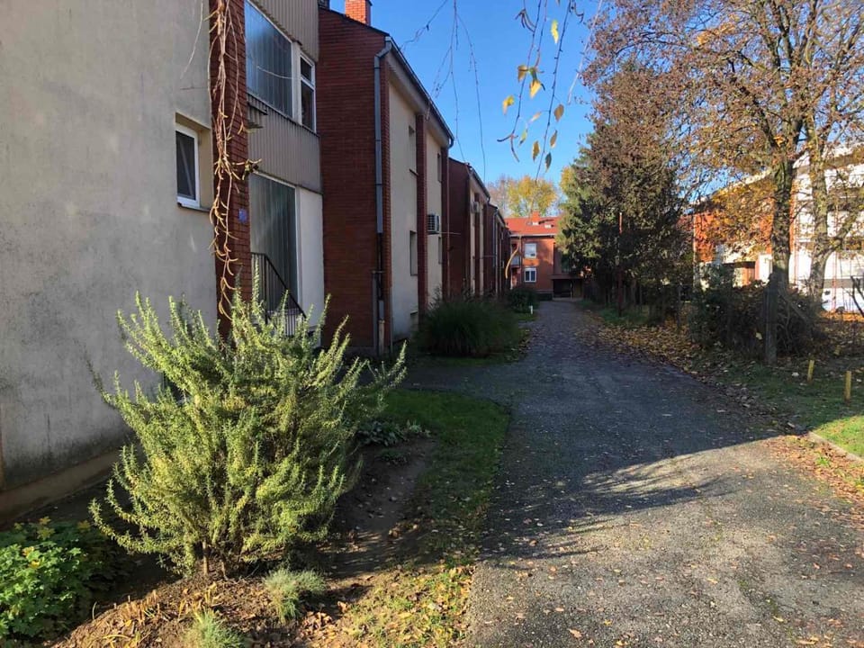 Property building, Day, Neighbourhood